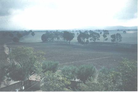 Berthelot_vue_est_du_village_depuis_Mairie