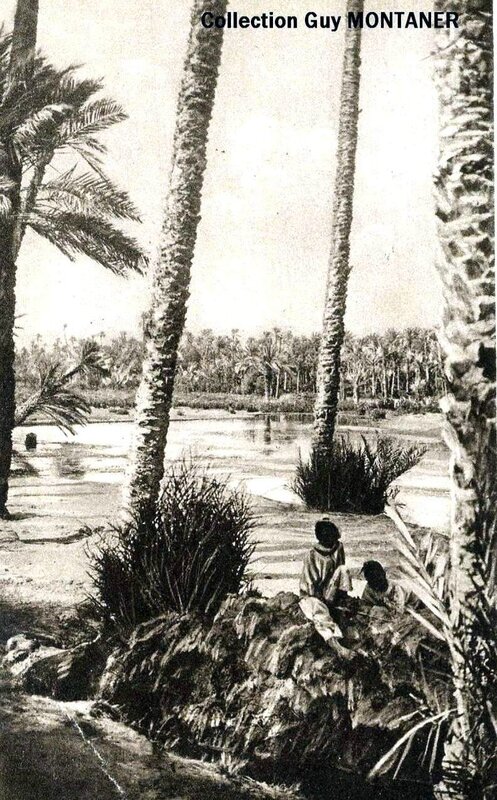 Colomb béchar 018- Collection Montaner_2