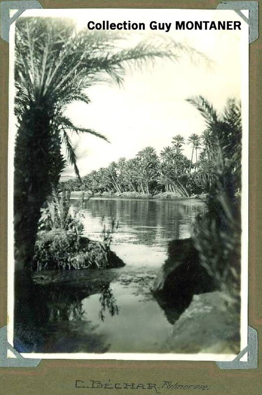 Colomb béchar 036- Collection Montaner_2