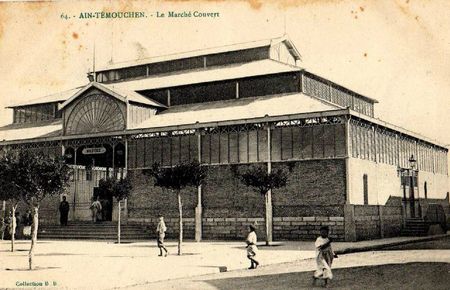 Ain temouchent 06- Collection Monneret