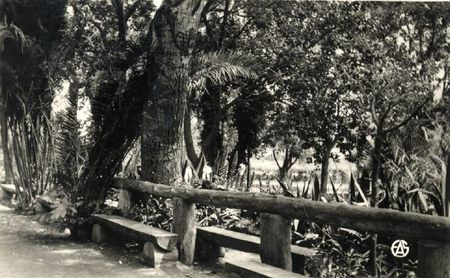 Aïn-Témouchent 505- Jardins