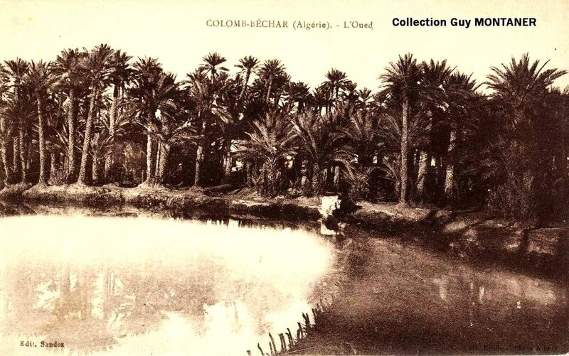 Colomb béchar 027- Collection Montaner_2