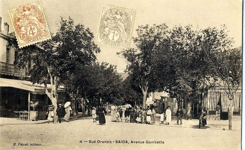 Saïda 006- Collection montaner