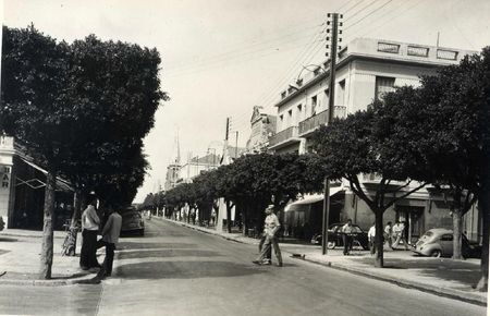 Aïn-Témouchent 508- Bd National