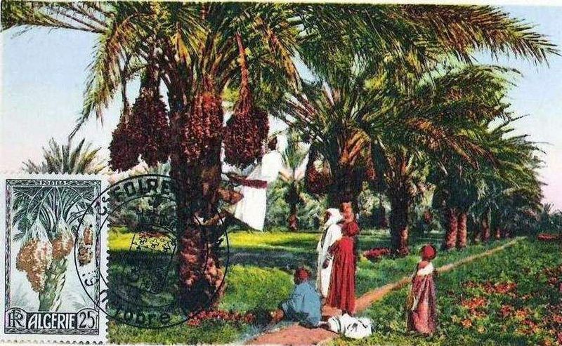 Timbre émis à la foire d' Oran en octobre 1951