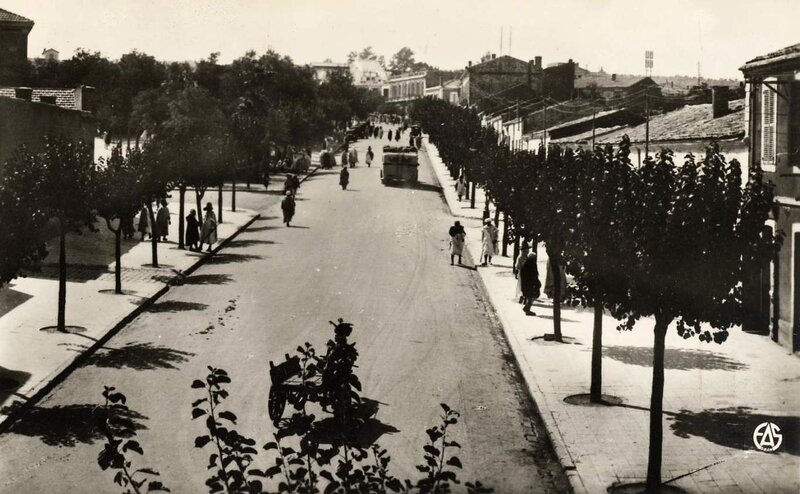 Saïda 520- Avenue Gambetta