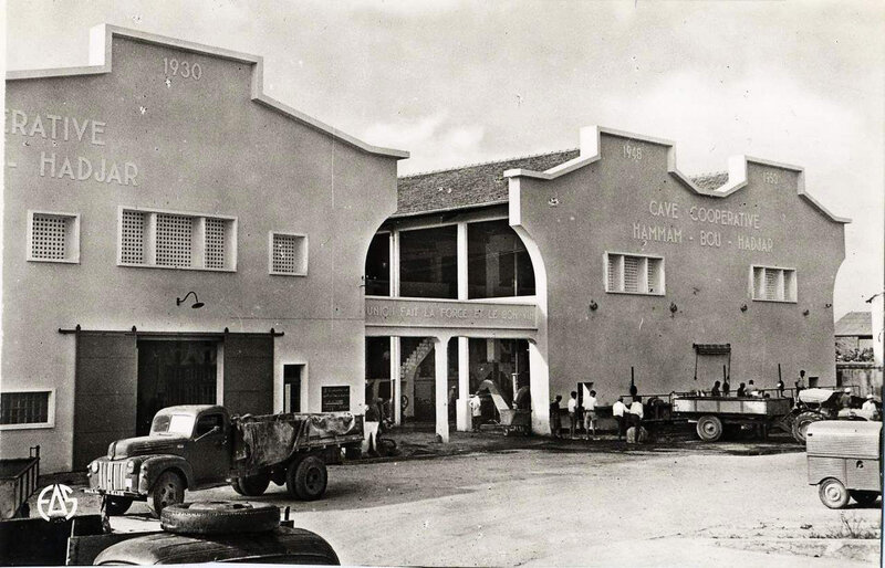 Hammam-bou-hadjar 520- Cave coopérative