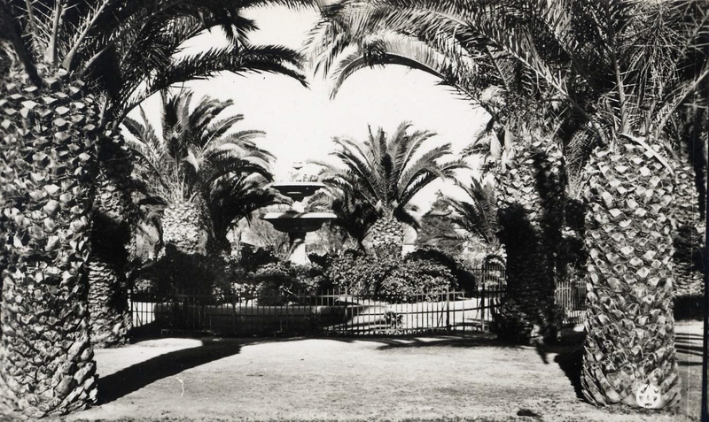 Saïda 530- Square Carnot