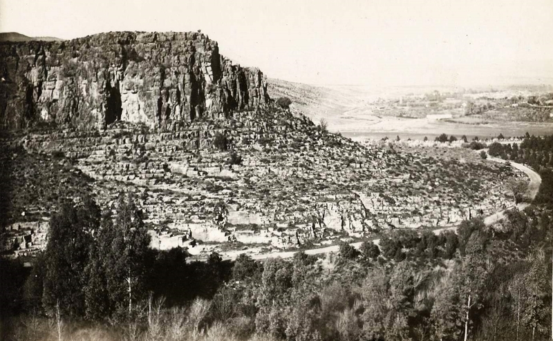 Saïda 523- Vieux Saïda