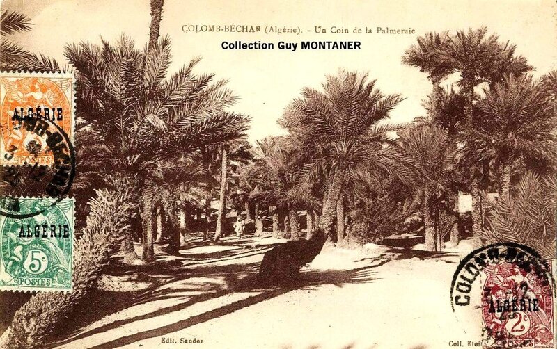 Colomb béchar 009- Collection Montaner_2