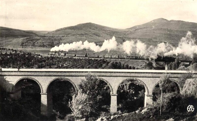 Saïda 519- Train sortant de la gare