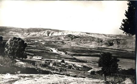 Aïn-tédeles 514- Plaine du Cheliff